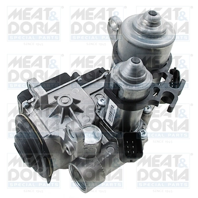 Selector Lever Module, transmission shift (AMT)
